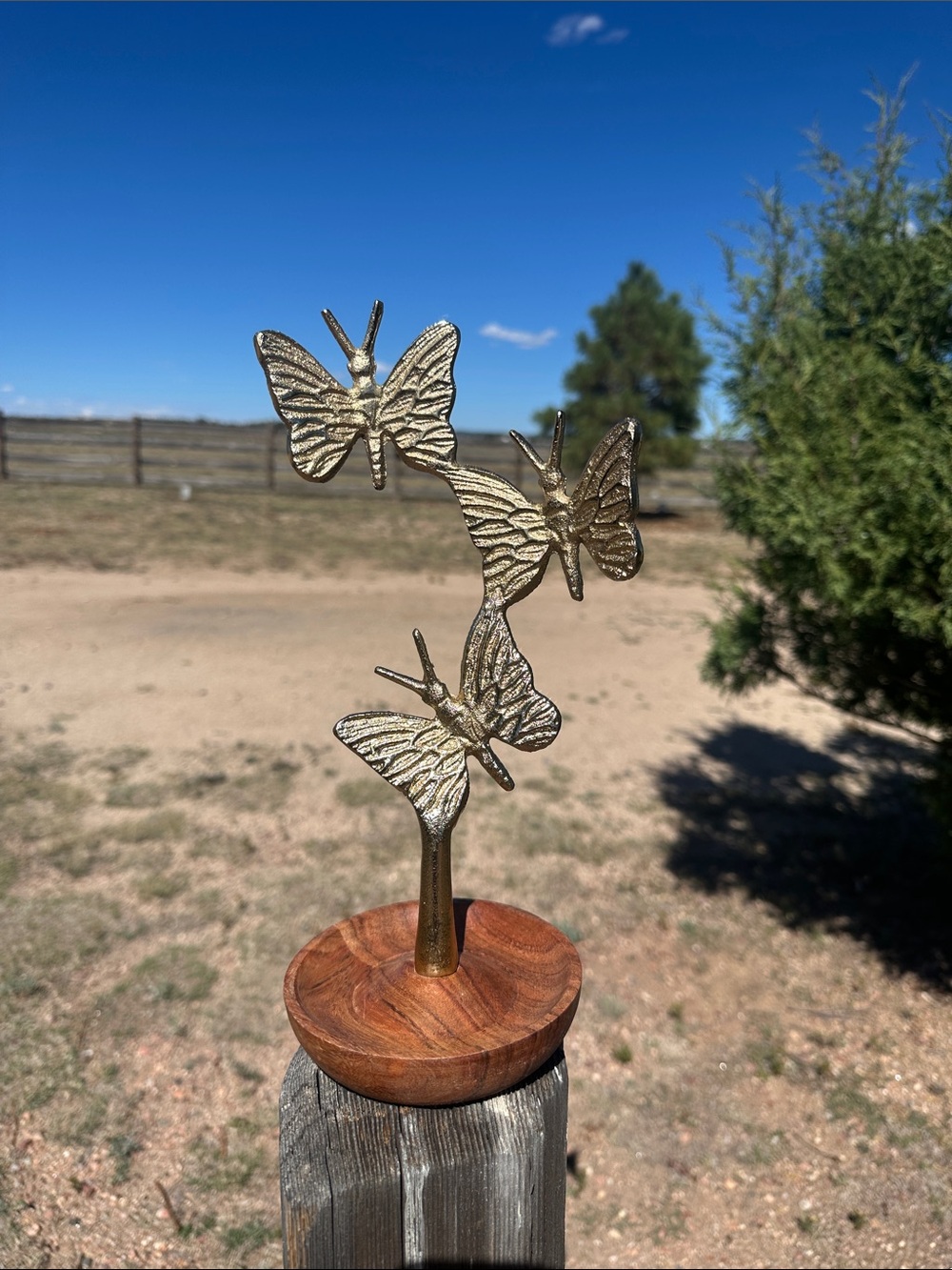 Butterfly Necklace and jewelry holder